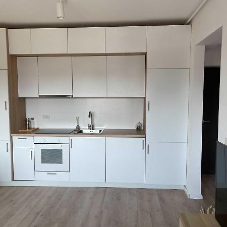Platinum Luxury Apartment Near Presidential Palace Bukurešť Exteriér fotografie