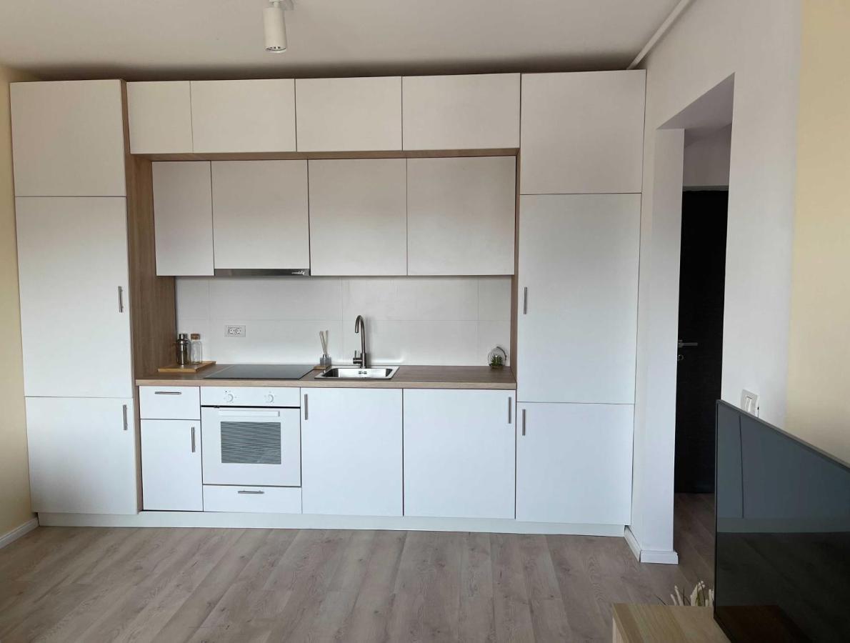 Platinum Luxury Apartment Near Presidential Palace Bukurešť Exteriér fotografie